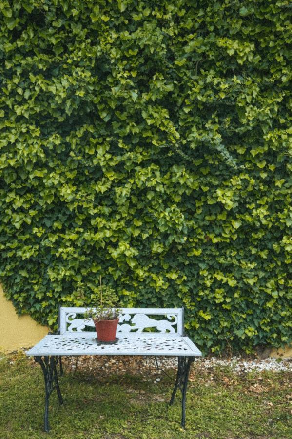 Abelia Boutique Rooms Tsilivi  Luaran gambar